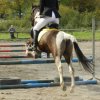 Babie Lato 2016